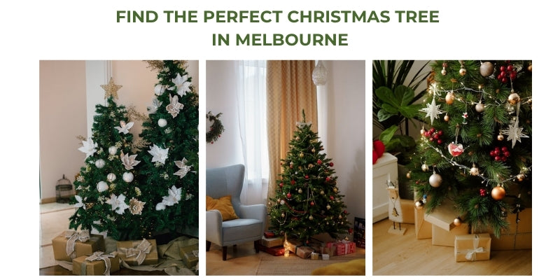 Find the Perfect Real Christmas Tree in Melbourne