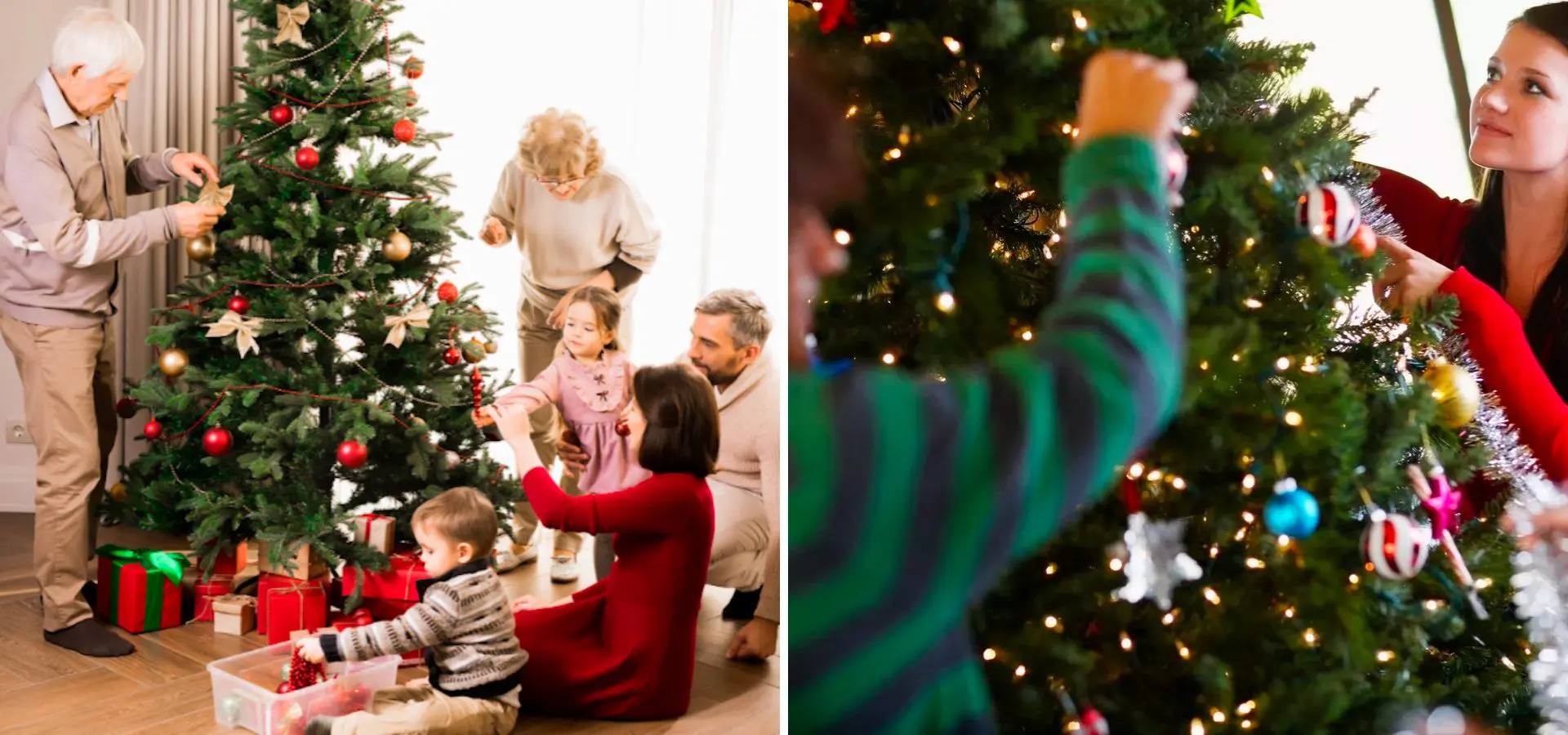 a group of people around a real christmas tree