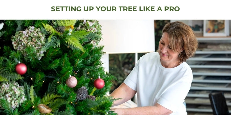 Setting Up Your Live Christmas Tree: A Simple Guide
