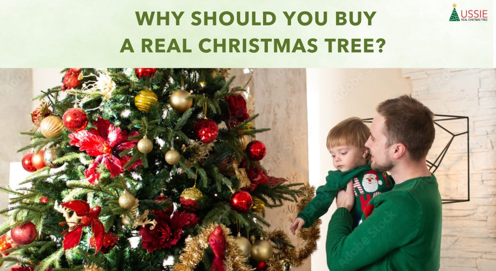 Real Christmas tree enhances your holiday experience