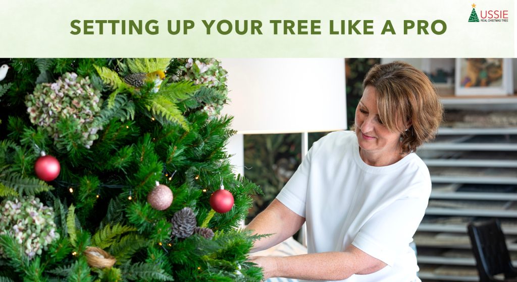 ​​Setting Up Your Live Christmas Tree: A Simple Guide