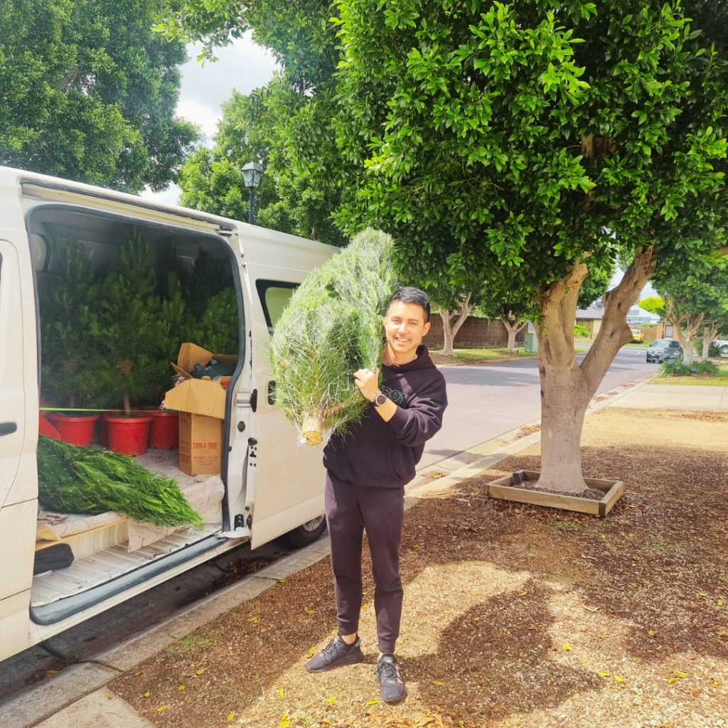 Mr Claus delivers real christmas tree in Melbourne himself