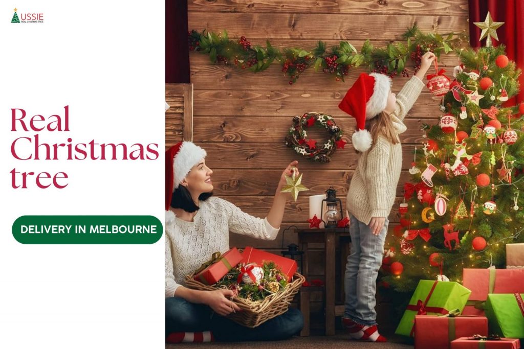 Perfect Real Christmas tree delivery in Melbourne