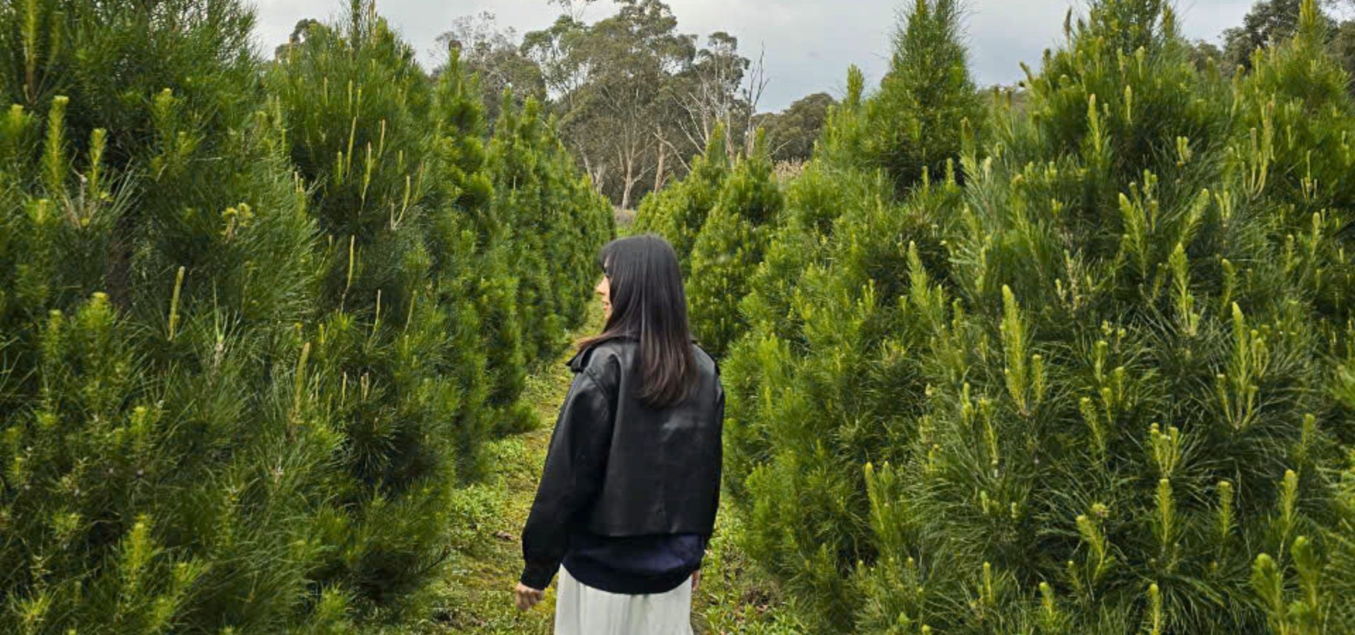 a woman walking in a real christmas tree farm